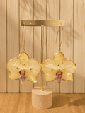 Amber Bloom Maxi Hooks | Earrings